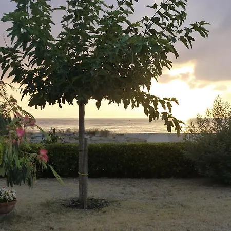 L'ile De Beaute *